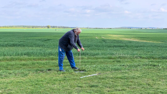 Säuberung der Steckhülsen