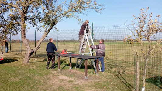 Abteilung Baumschnitt