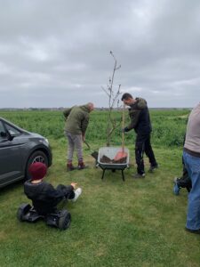 Baumscheiben pflegen...