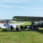 Schattenplätze sind begehrt